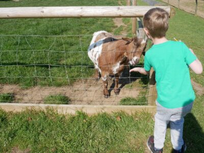 Filey Bird Garden and Animal Park
