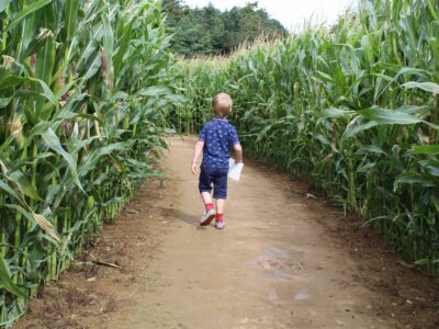 Uncle Henry's Maize Maze