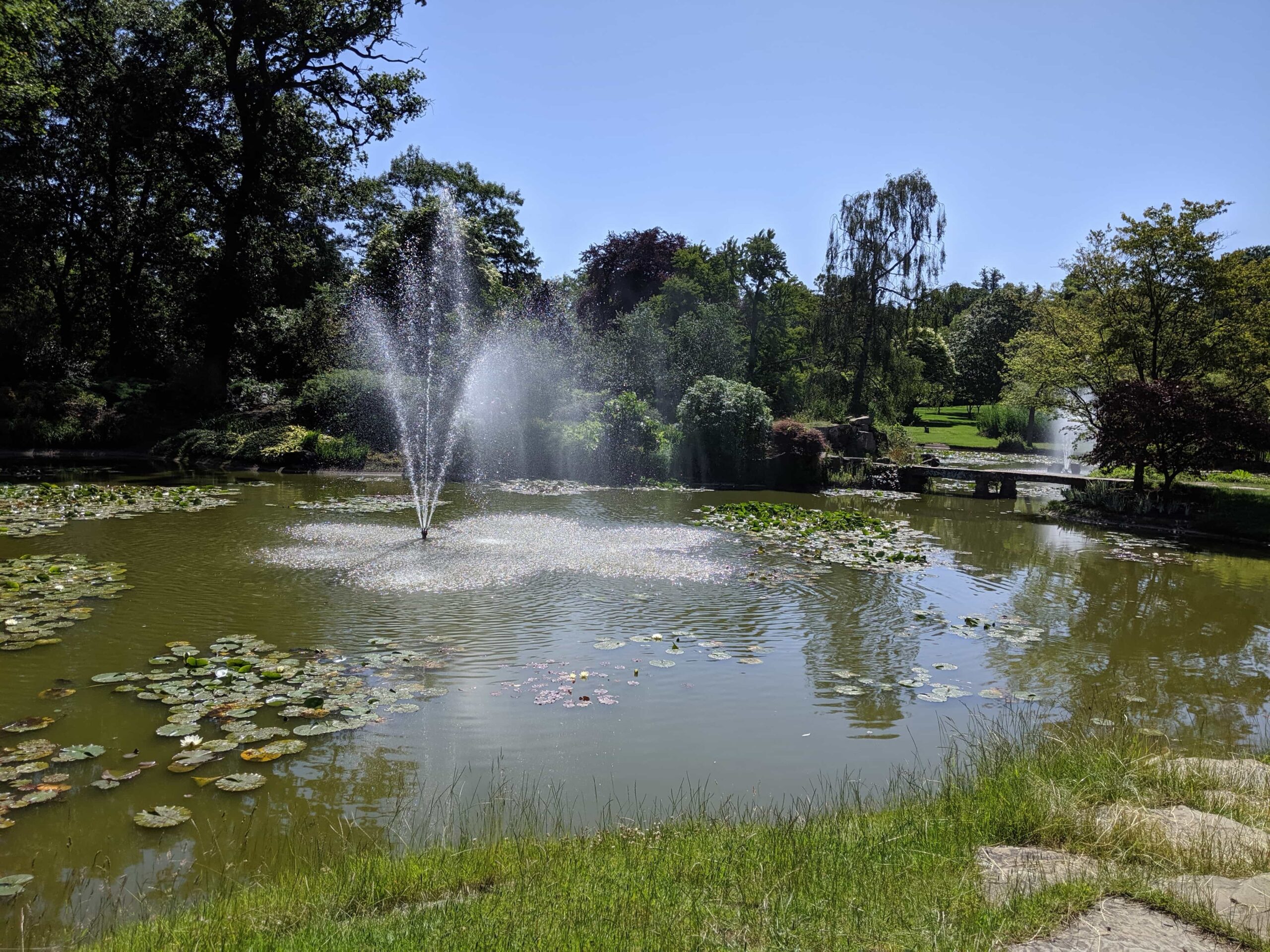 Cliveden Water Gardens