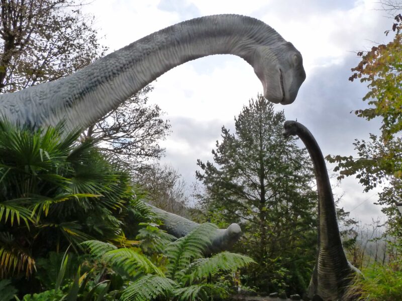 National Showcaves Centre for Wales