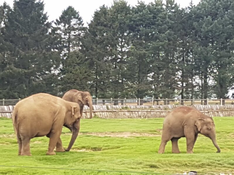 ZSL Whipsnade Zoo