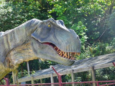 Combe Martin Wildlife and Dinosaur Park