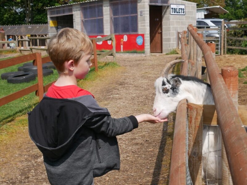 Boston Park Farm