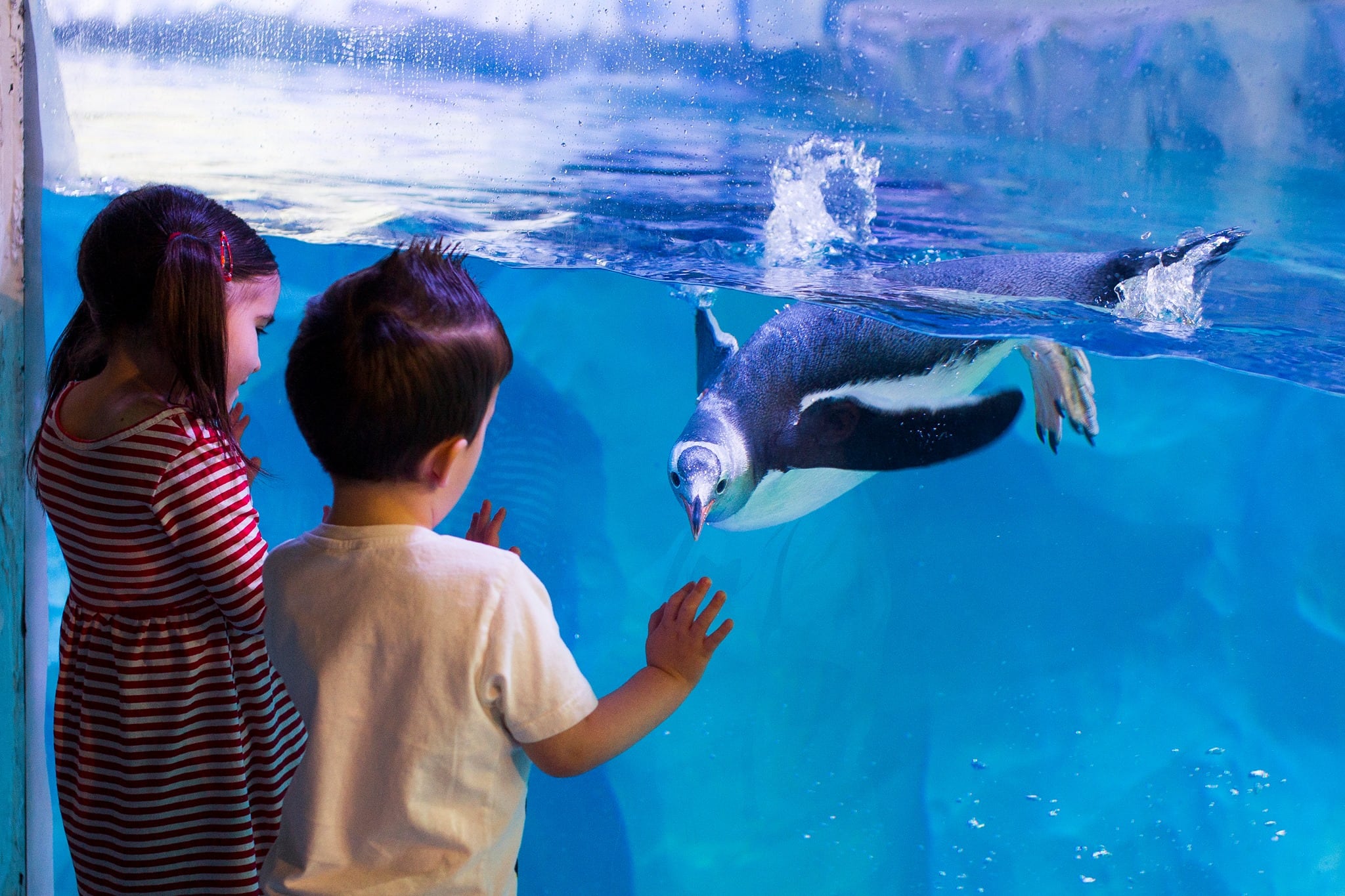 Things to do Birmingham