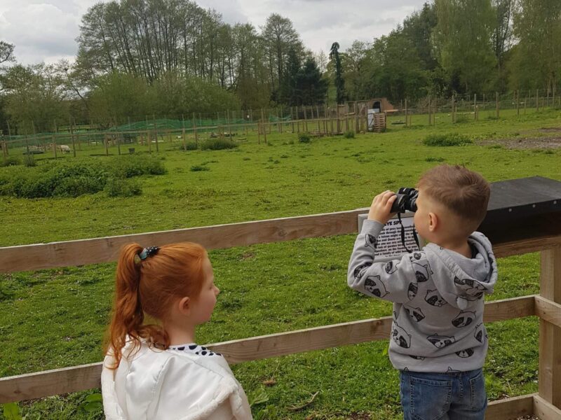 Gentleshaw Wildlife Centre