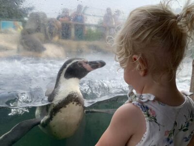 SEA LIFE Centre Weymouth
