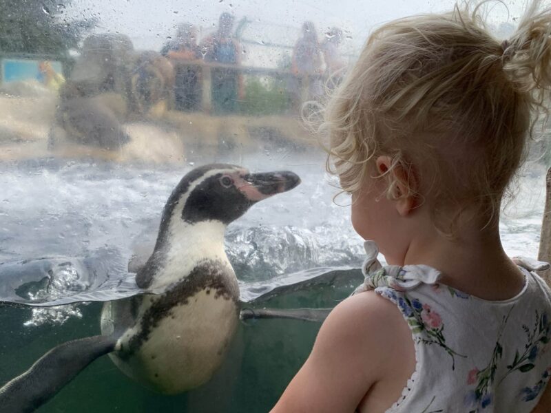 SEA LIFE Centre Weymouth