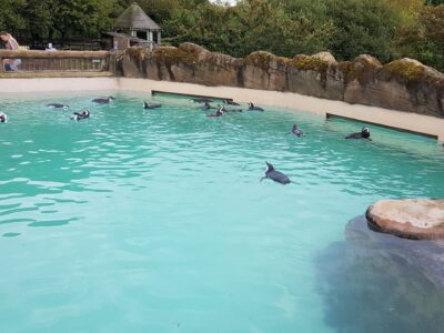 Blackpool Zoo
