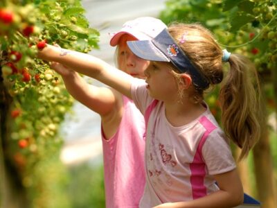 Trevaskis Farm
