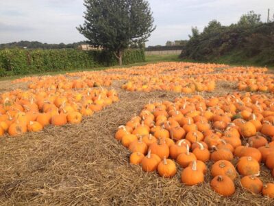 Stanhill Farm