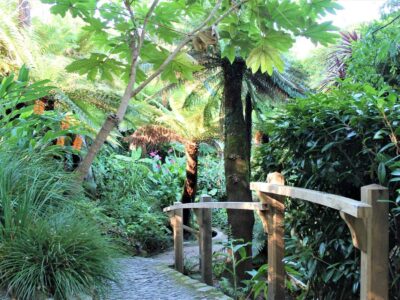 Glendurgan Garden