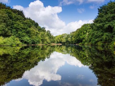 Low Barns Nature Reserve