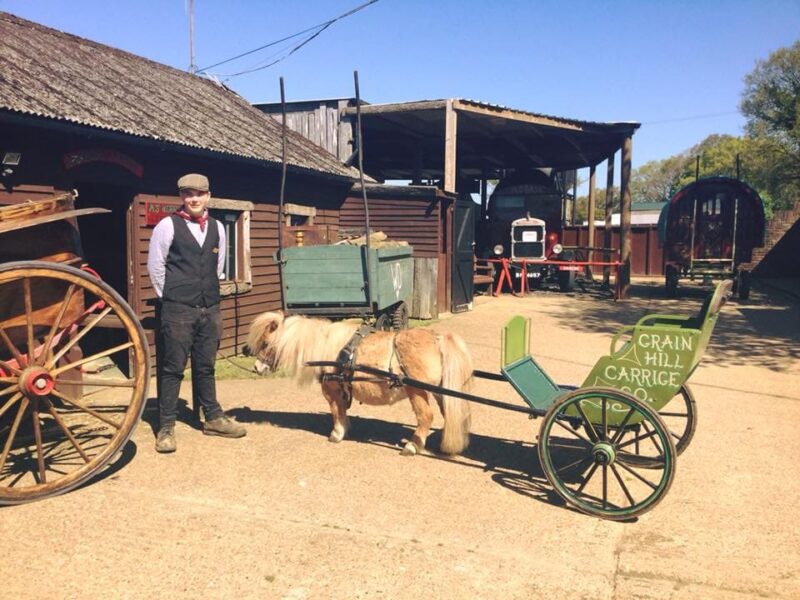 Dorset Heavy Horse Farm