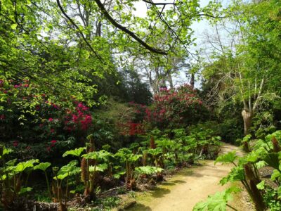 Abbotsbury Subtropical Gardens