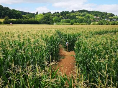 Elton Giant Mazes and Activities Maze