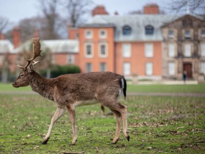 Dunham Massey National Trust
