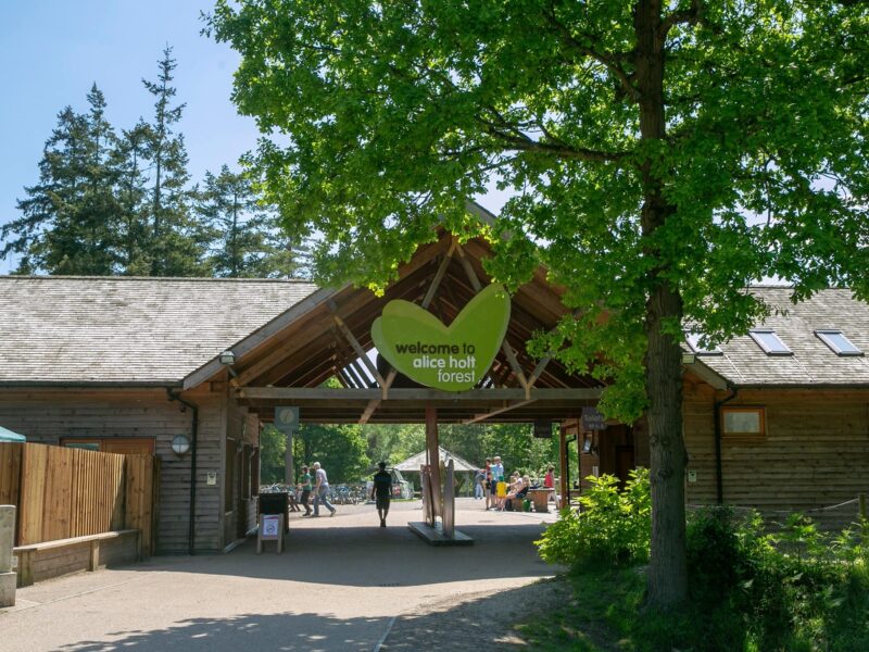 Alice Holt Forest