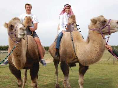 Camel Park Oasis