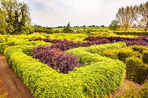 Anker Wood and Maze World at Dobbies