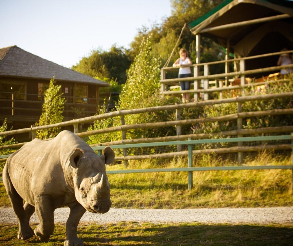 Port Lympne Reserve