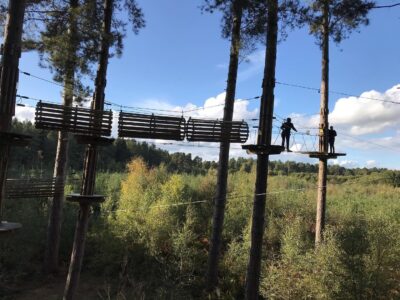 Go Ape Cannock Chase