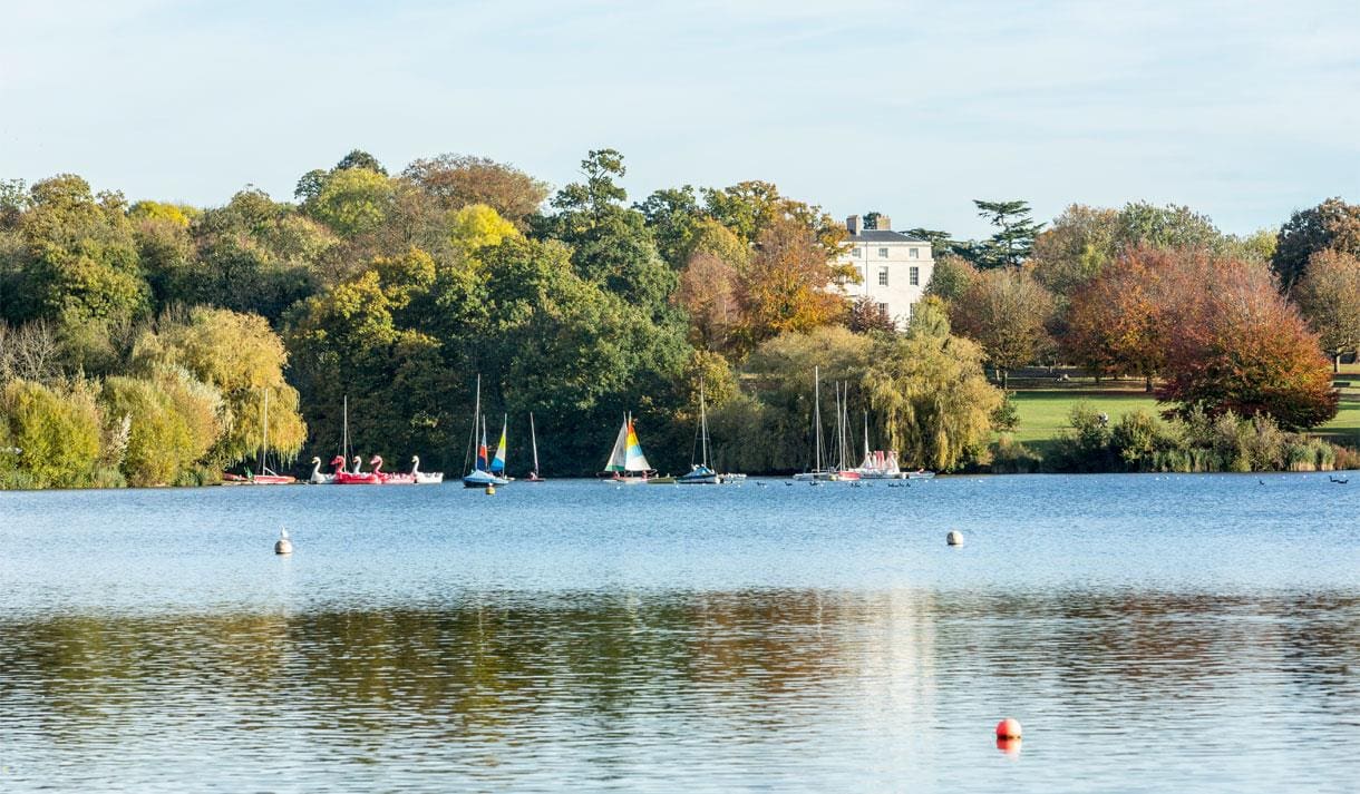 Mote Park
