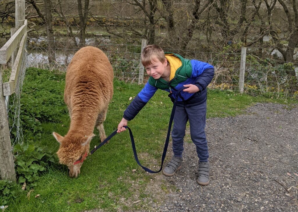 Aston Springs Farm Animal Experiences