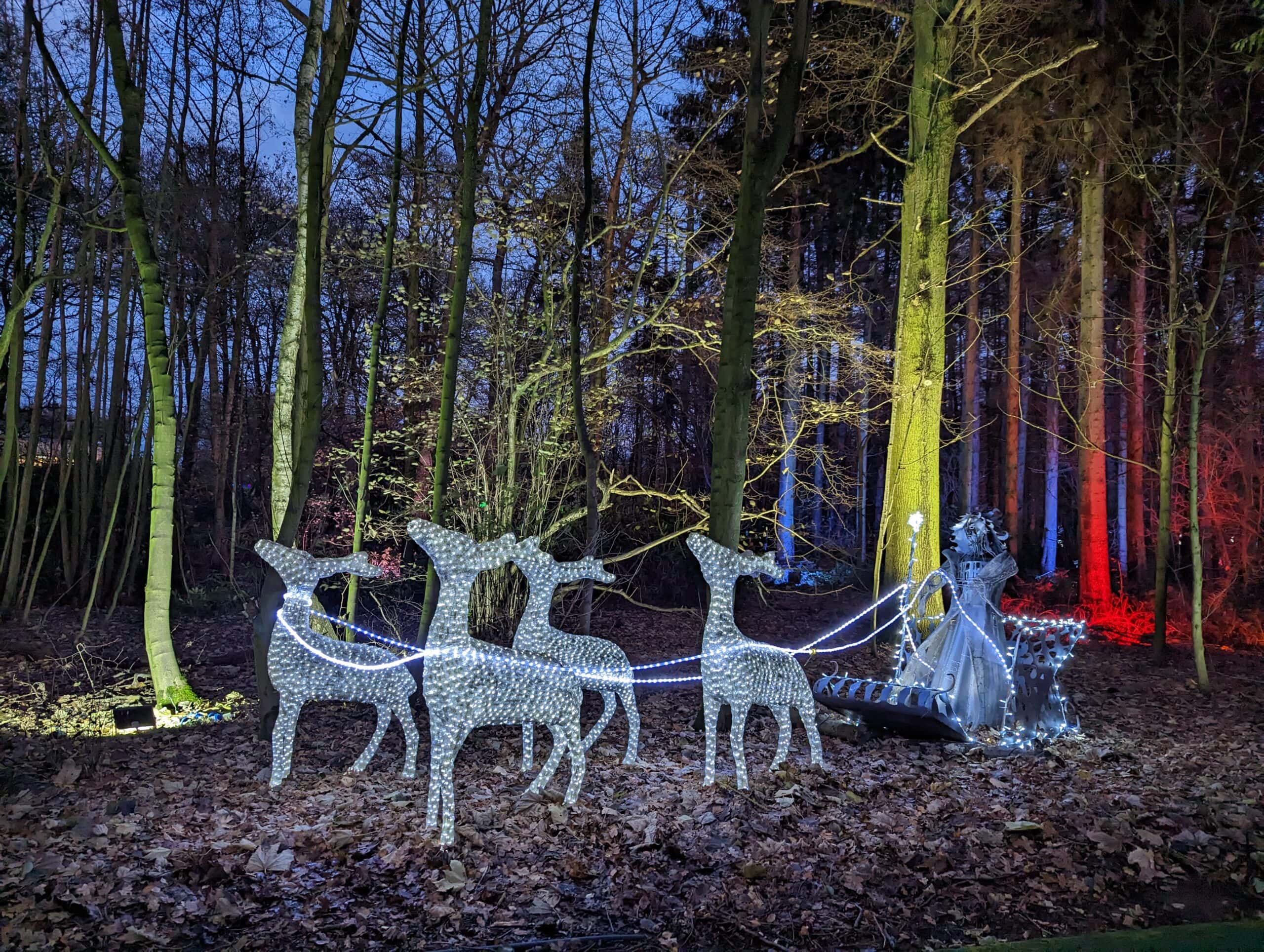 Stockeld Park Winter Illuminations and Nordic Skiing Review