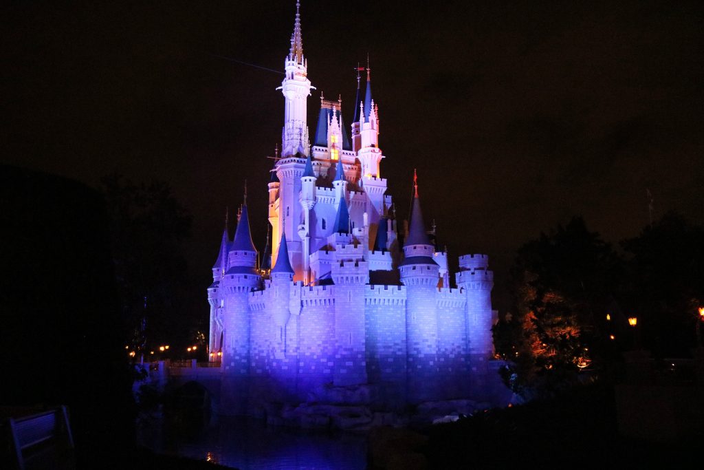 Disney World Parks, Hotels, Restaurants and Top Tips with Kids