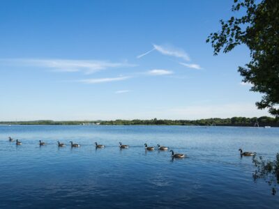 Chasewater Country Park
