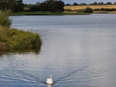 Sywell Country Park