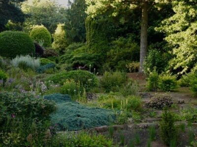 Dorothy Clive Garden
