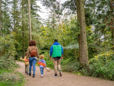 Gisburn Forest and Stocks