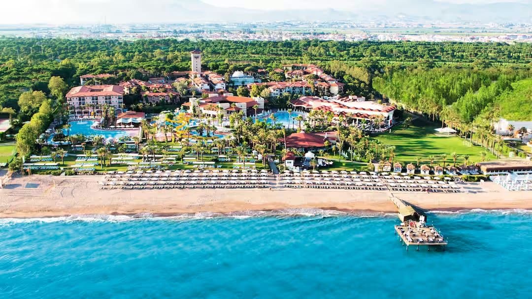 Paloma Grida Turkey