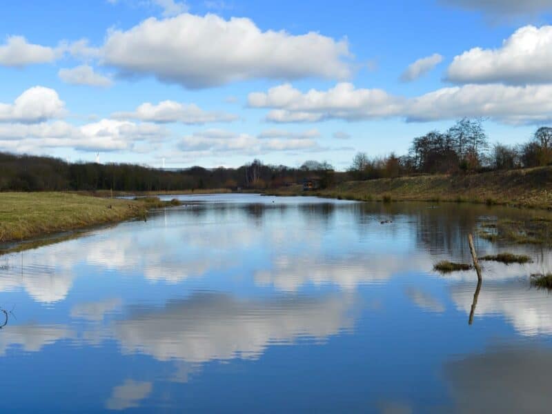 WWT Washington Wetland Centre
