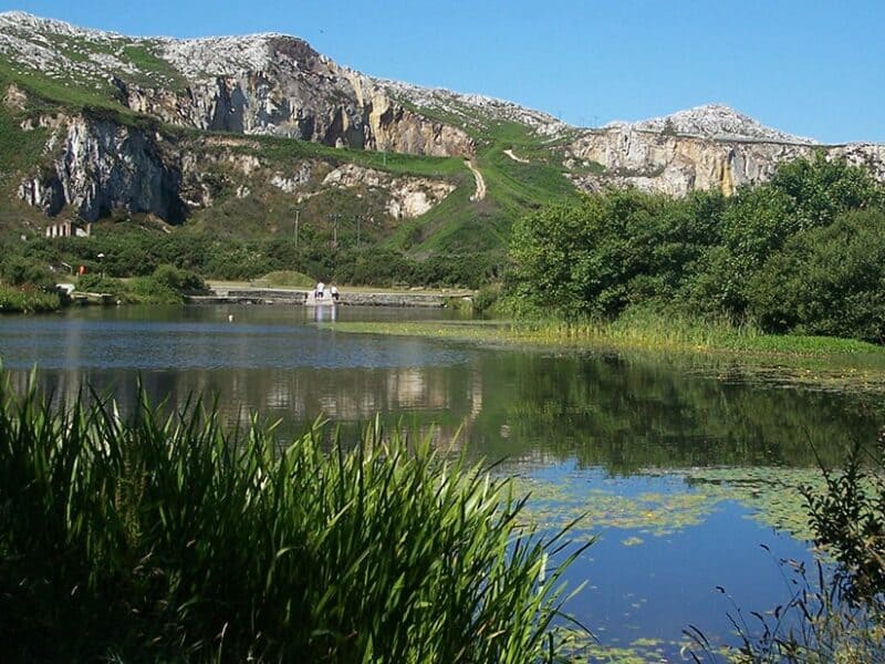 Breakwater Country Park