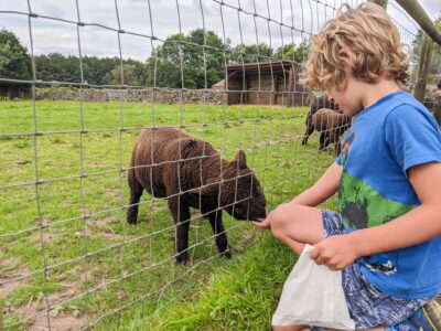 Matlock Farm Park