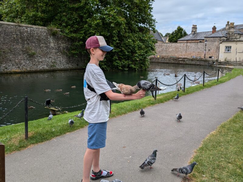 Bishops Palace and Gardens