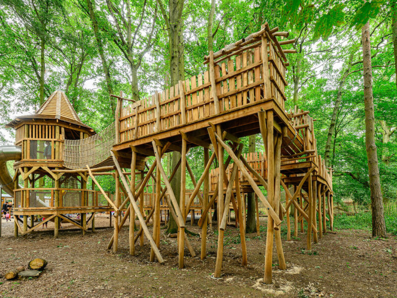 Coombe Abbey Country Park