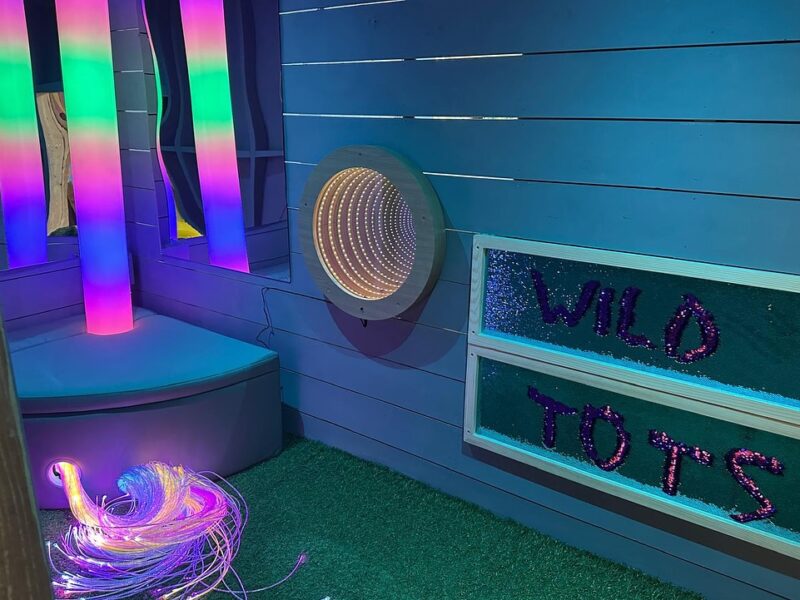 Wild Tots Play Cafe