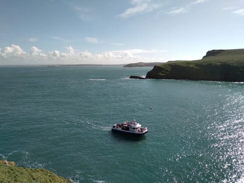 Skomer Island Day Trips