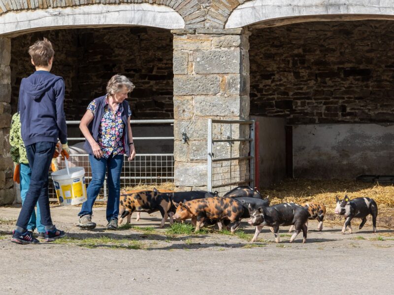 Wensleydale Experience