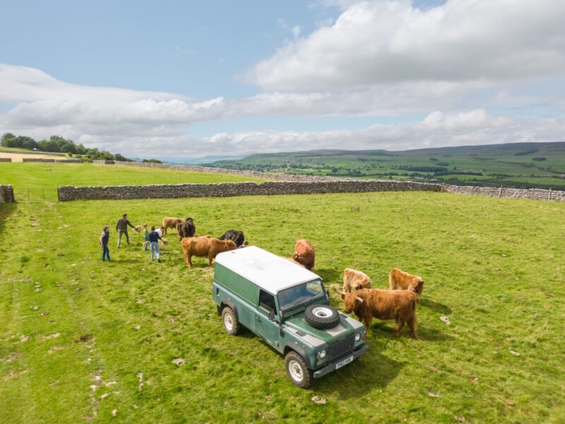 Wensleydale Experience