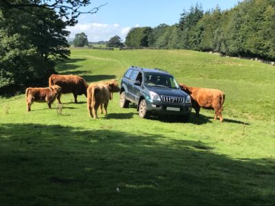 Wensleydale Experience